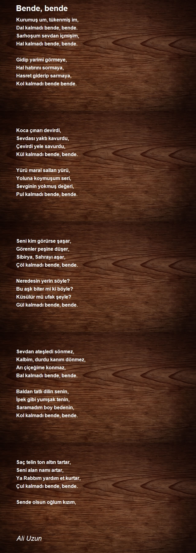 Ali Uzun