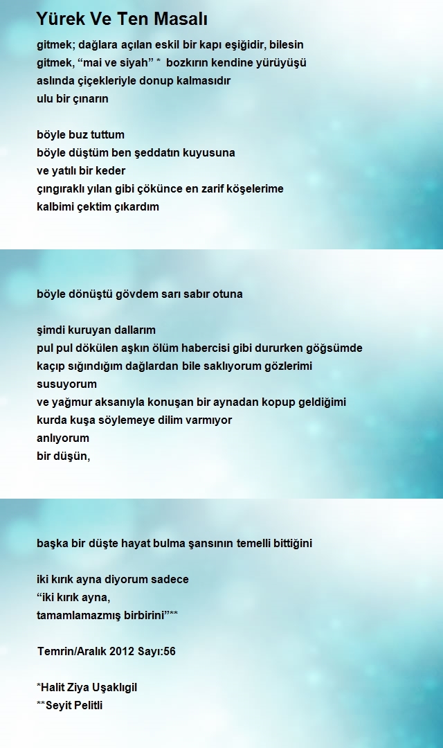 Fatih Yavuz Çiçek