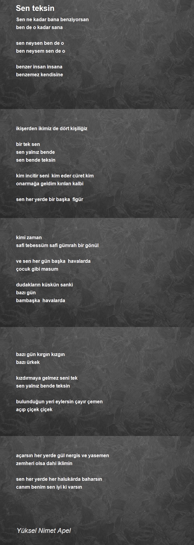 Yüksel Nimet Apel