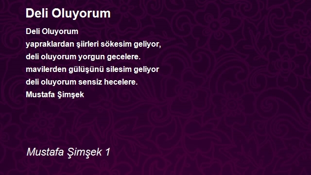 Mustafa Şimşek 1