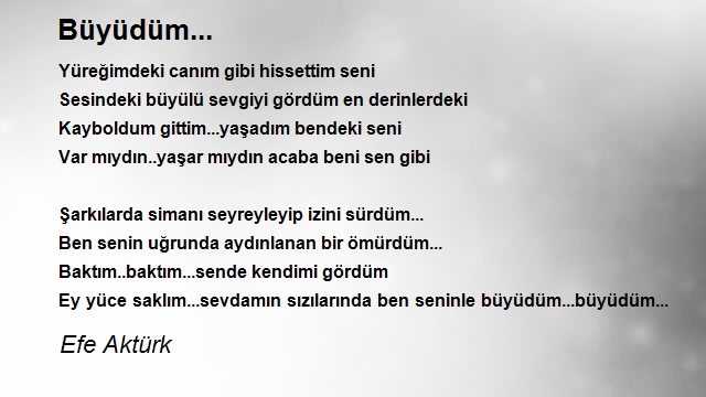 Efe Aktürk