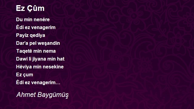 Ahmet Baygümüş
