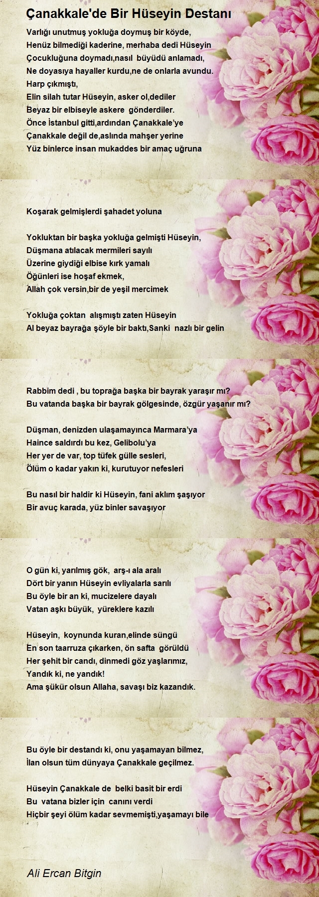 Ali Ercan Bitgin