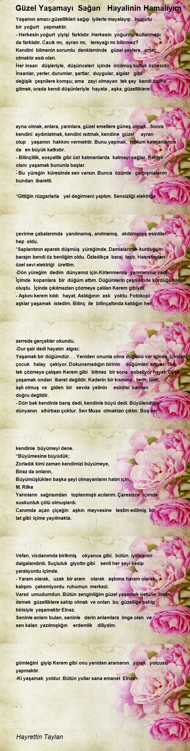 Hayrettin Taylan