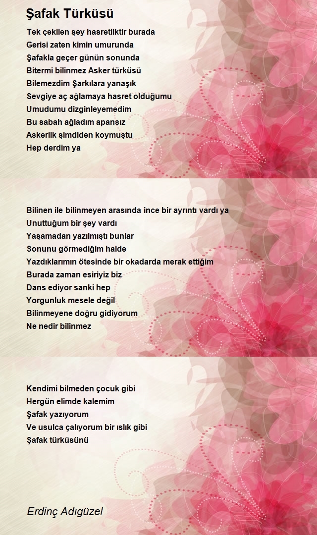 Erdinç Adıgüzel