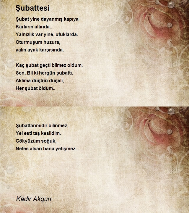 Kadir Akgün