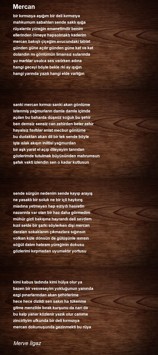 Merve İlgaz