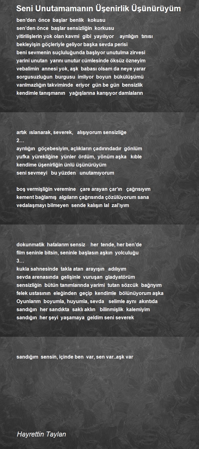 Hayrettin Taylan