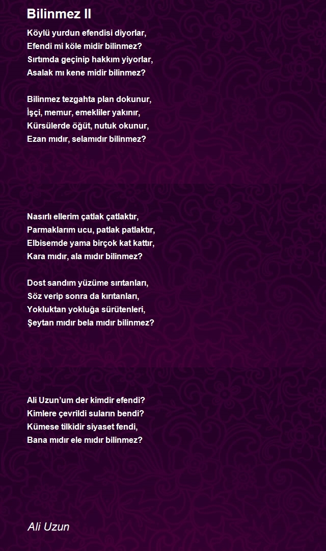 Ali Uzun