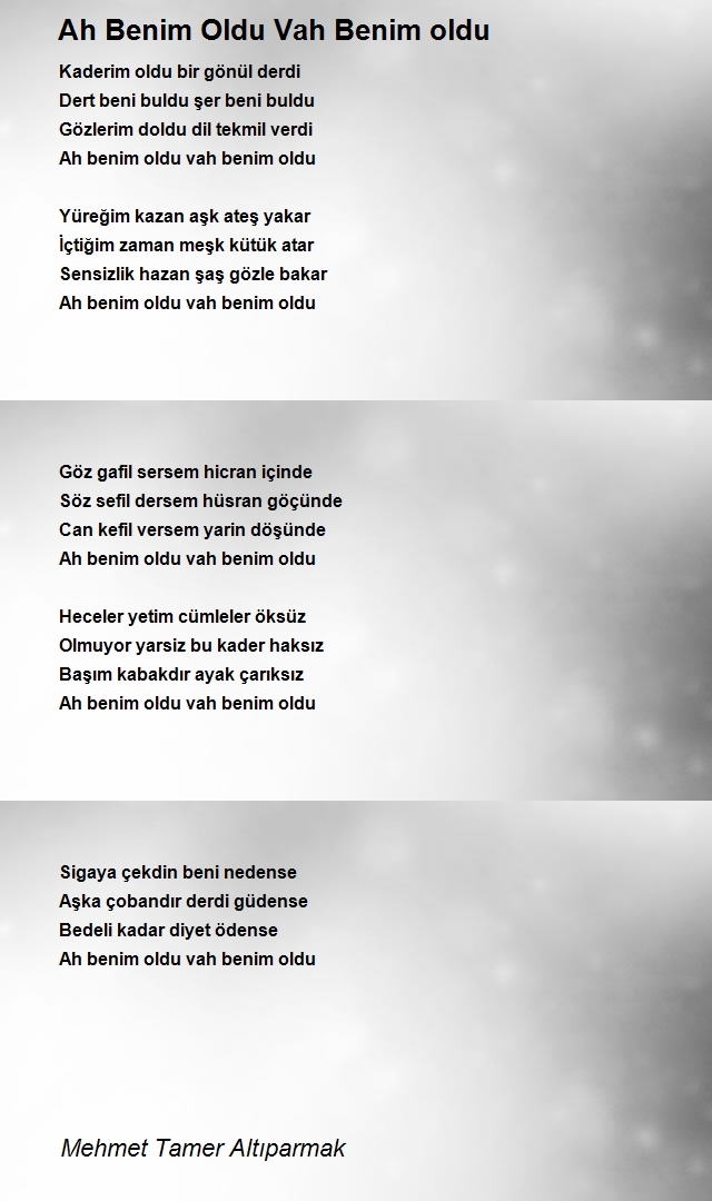 Mehmet Tamer Altıparmak