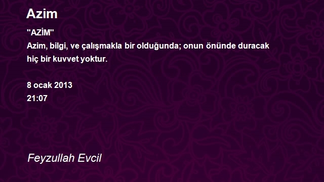 Feyzullah Evcil