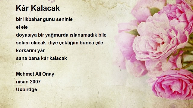 Mehmet Ali Onay
