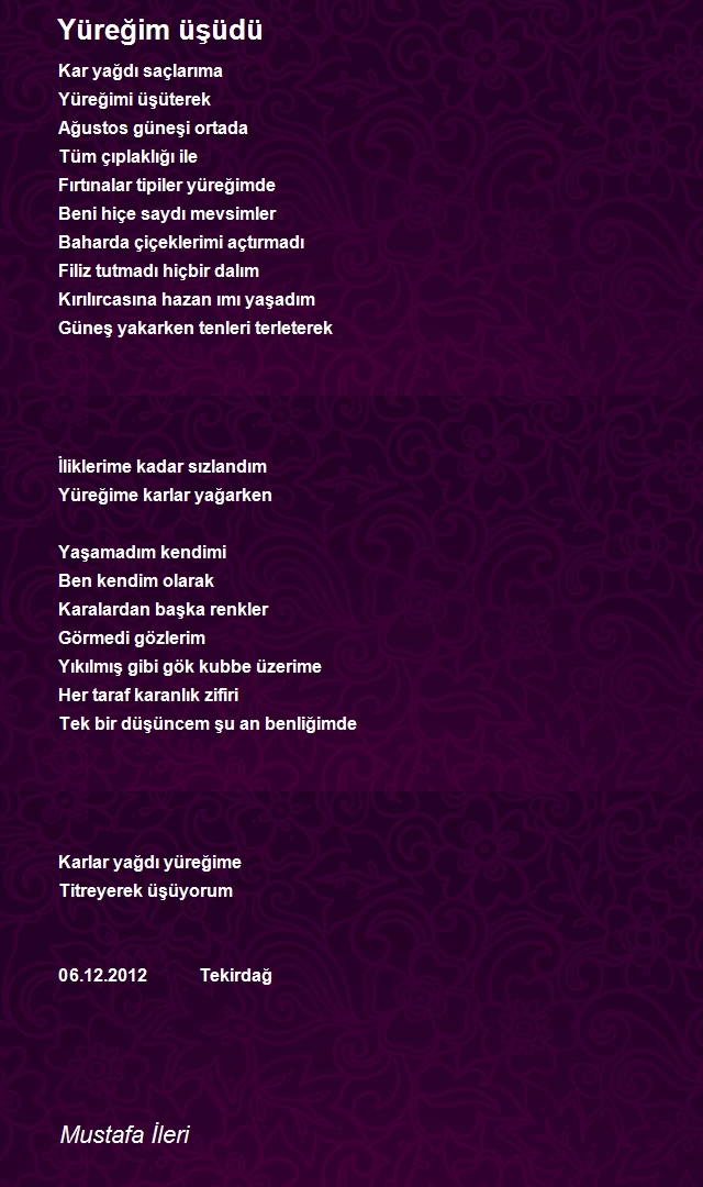 Mustafa İleri