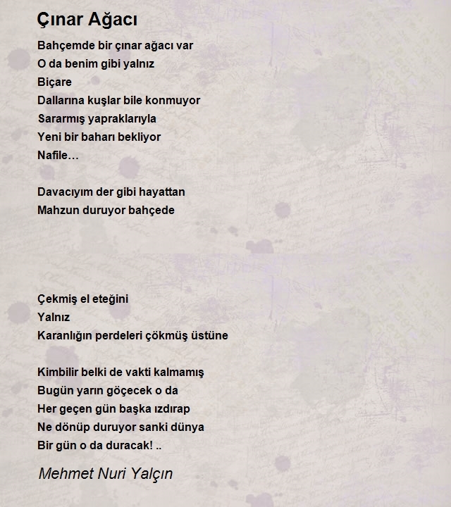 Mehmet Nuri Yalçın