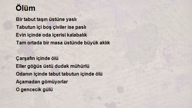Burak Mutioğlu