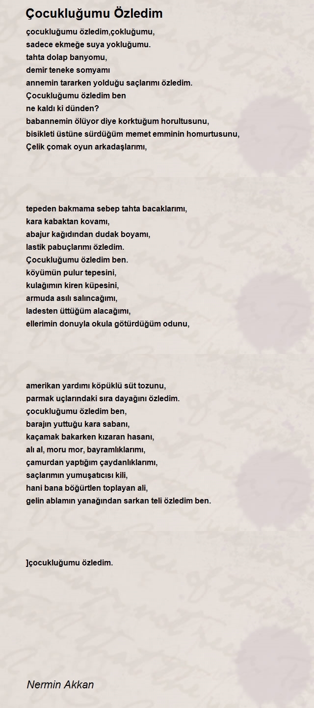 Nermin Akkan