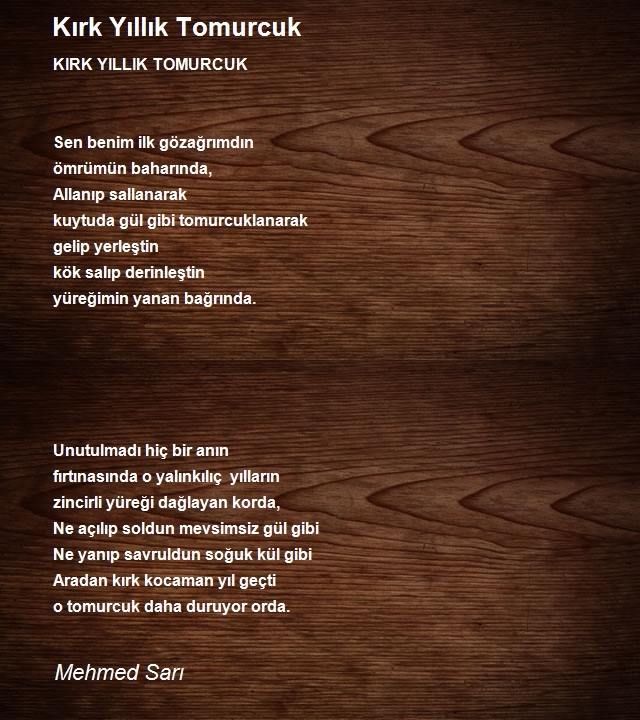 Mehmed Sarı