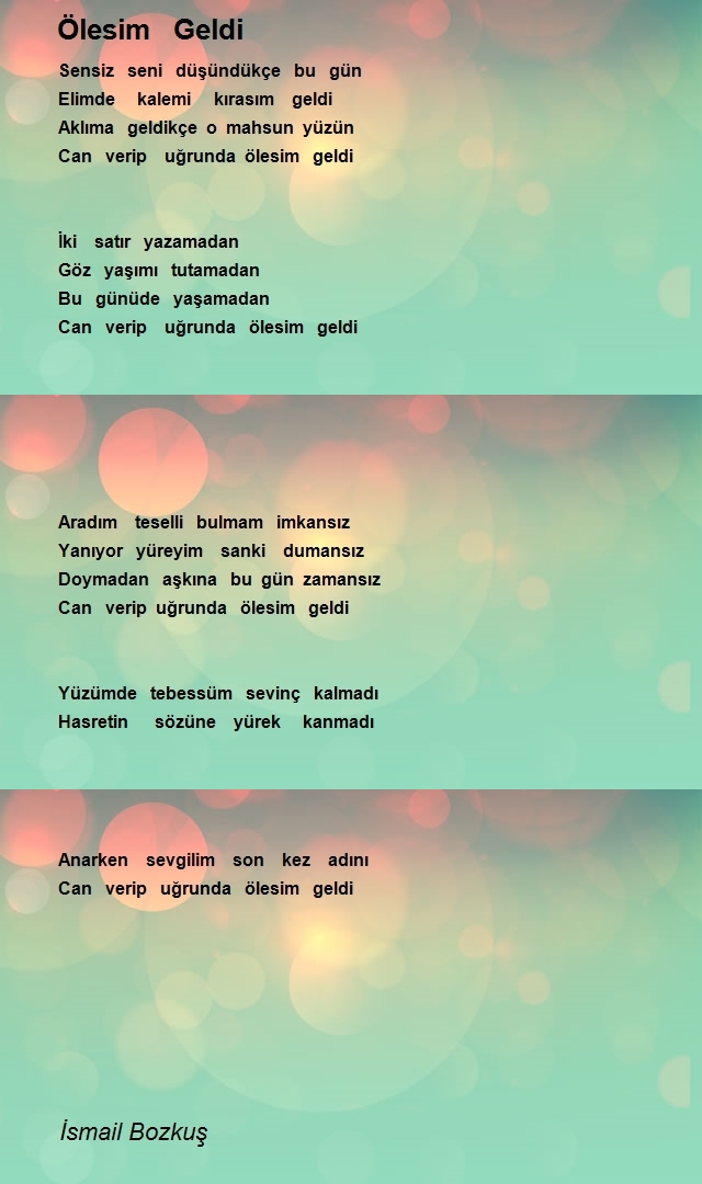 İsmail Bozkuş