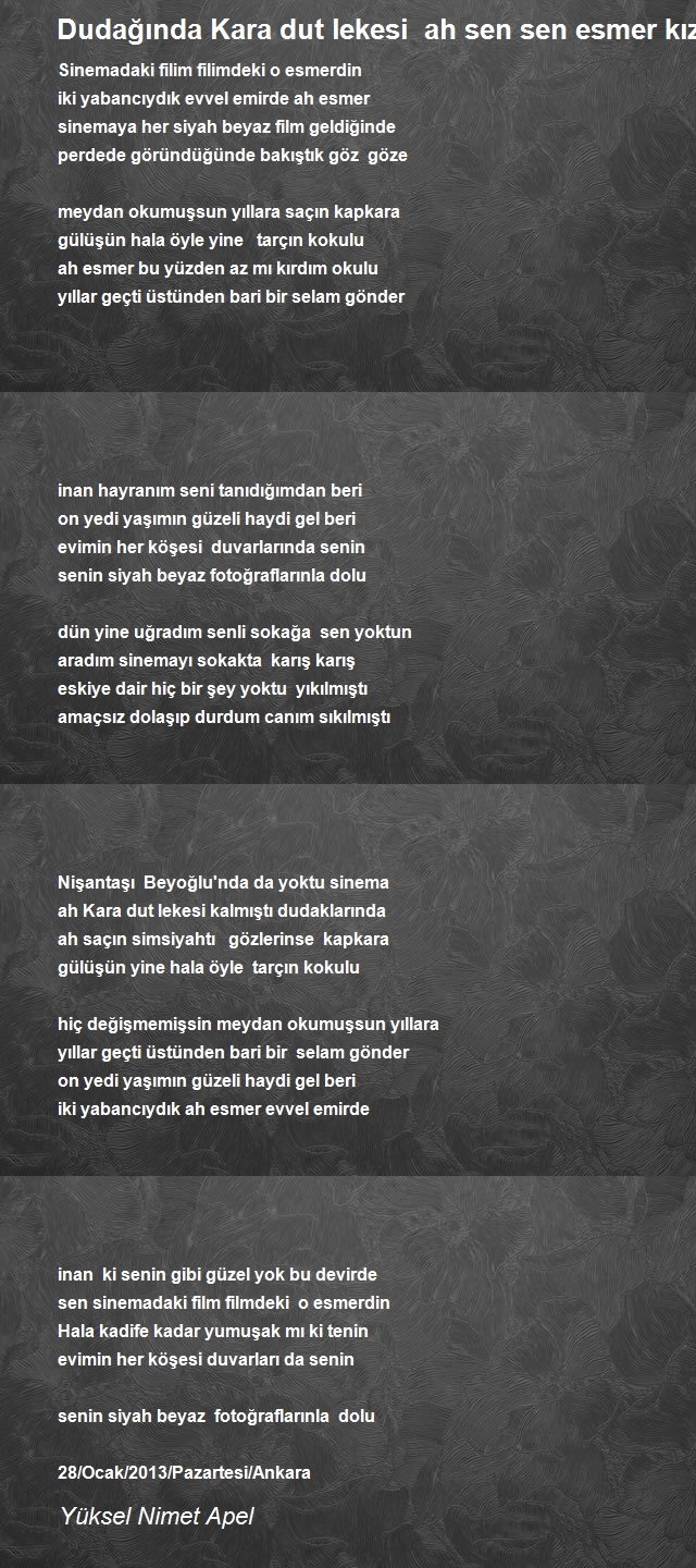 Yüksel Nimet Apel
