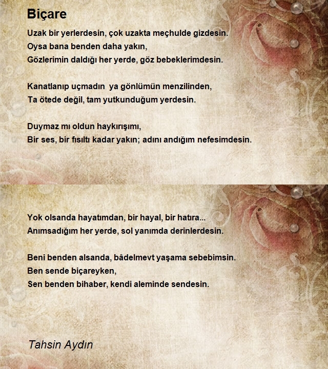 Tahsin Aydın
