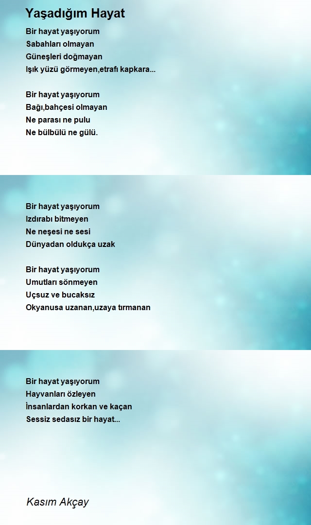 Kasım Akçay