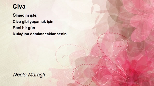 Necla Maraşlı