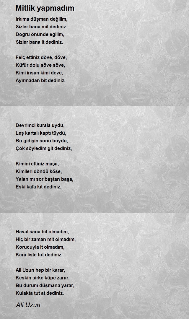 Ali Uzun
