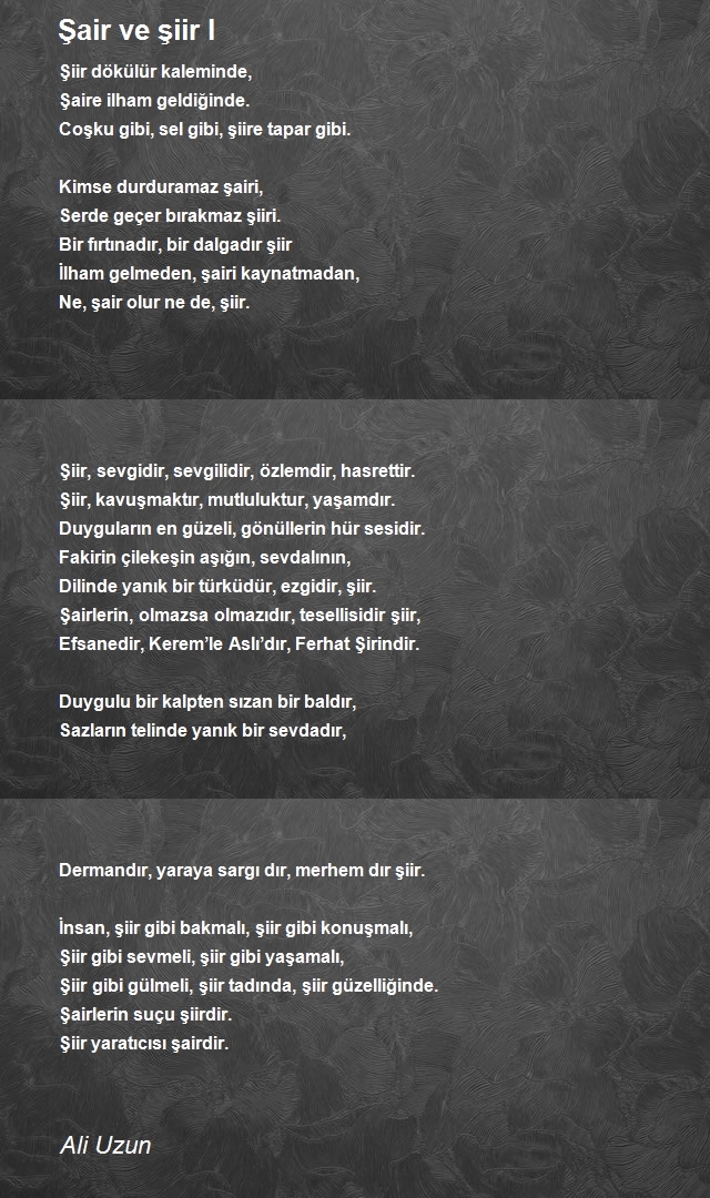 Ali Uzun