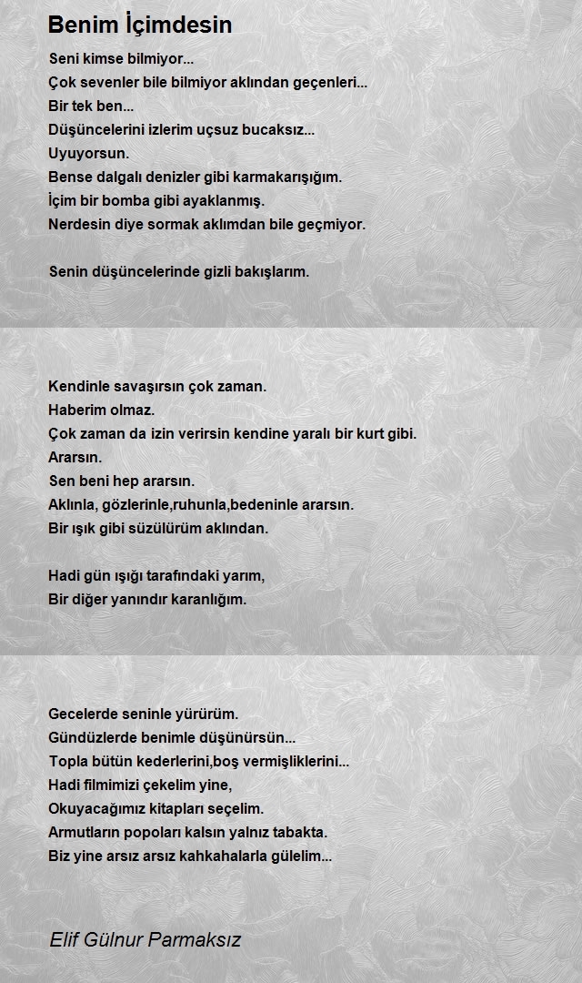 Elif Gülnur Parmaksız