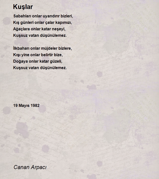 Canan Arpacı