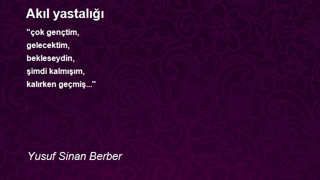 Yusuf Sinan Berber