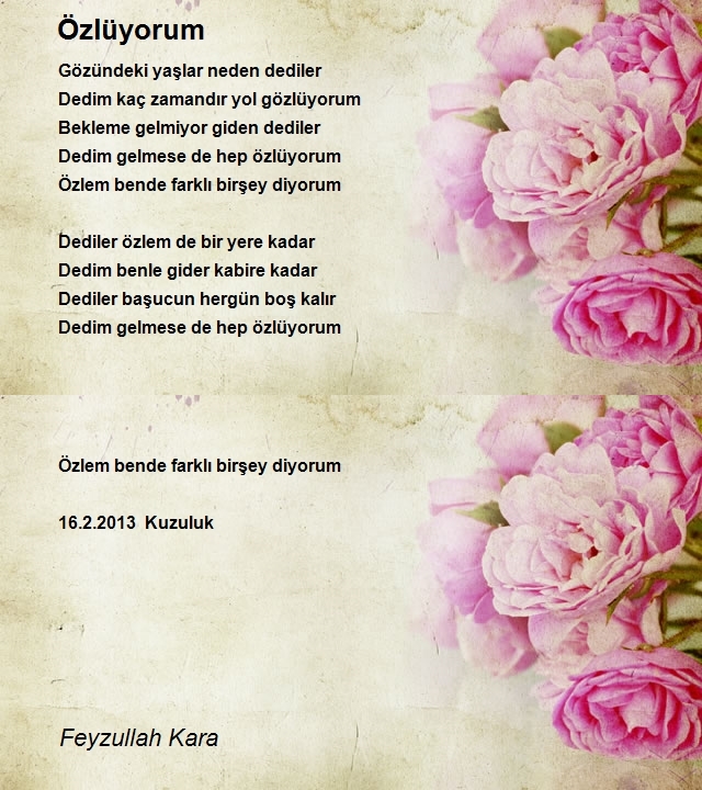 Feyzullah Kara