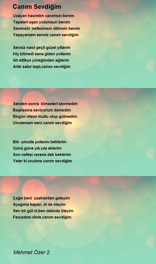 Mehmet Özer 2