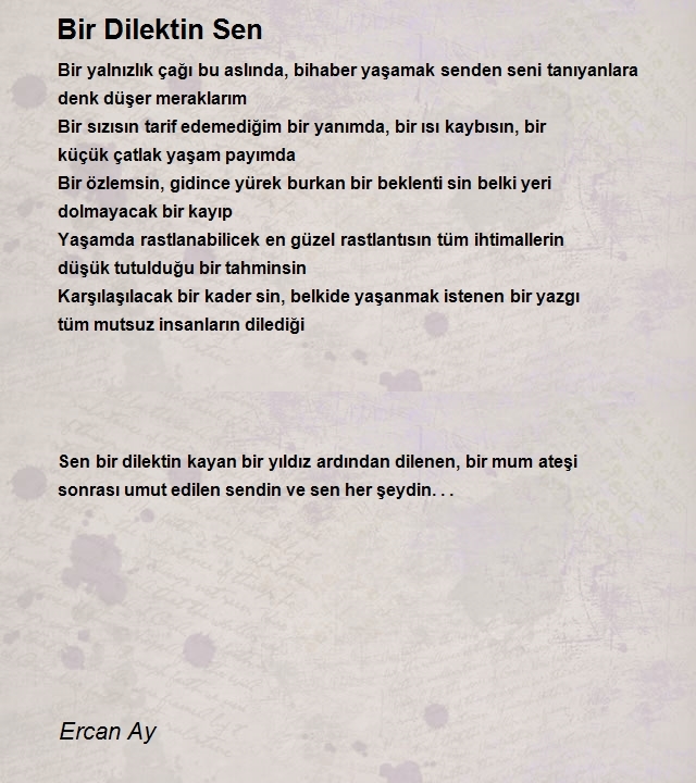 Ercan Ay