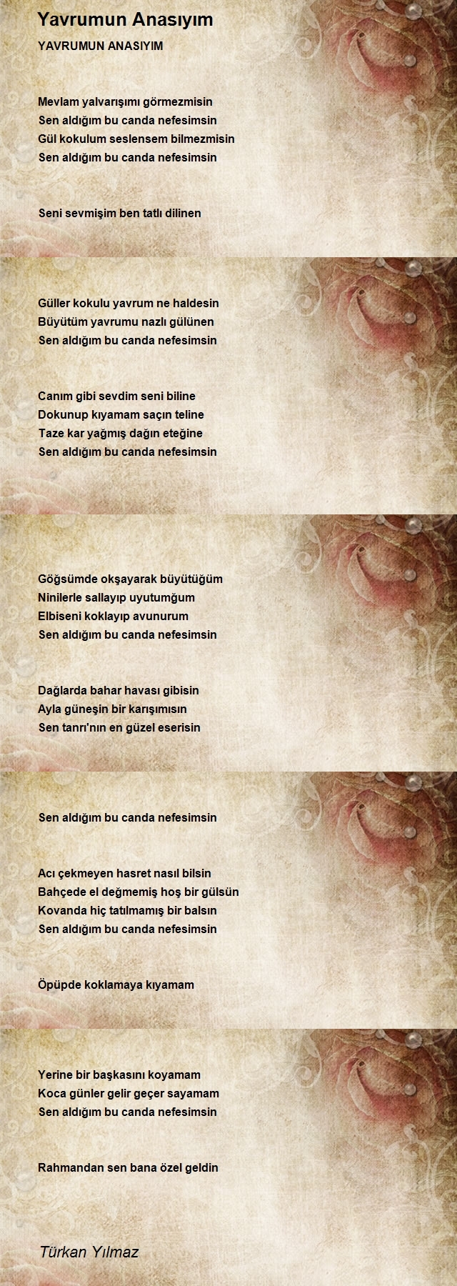 Türkan Yılmaz