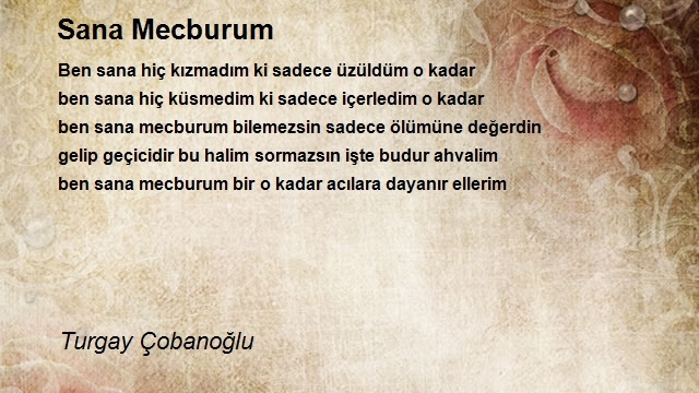 Turgay Çobanoğlu