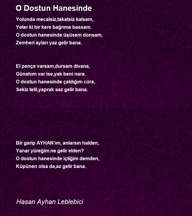 Hasan Ayhan Leblebici
