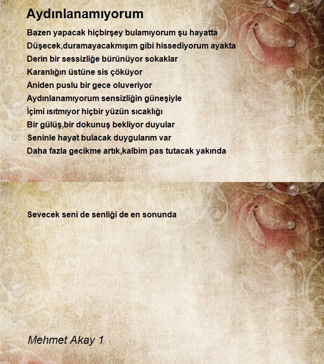 Mehmet Akay 1