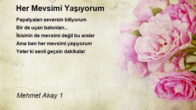 Mehmet Akay 1