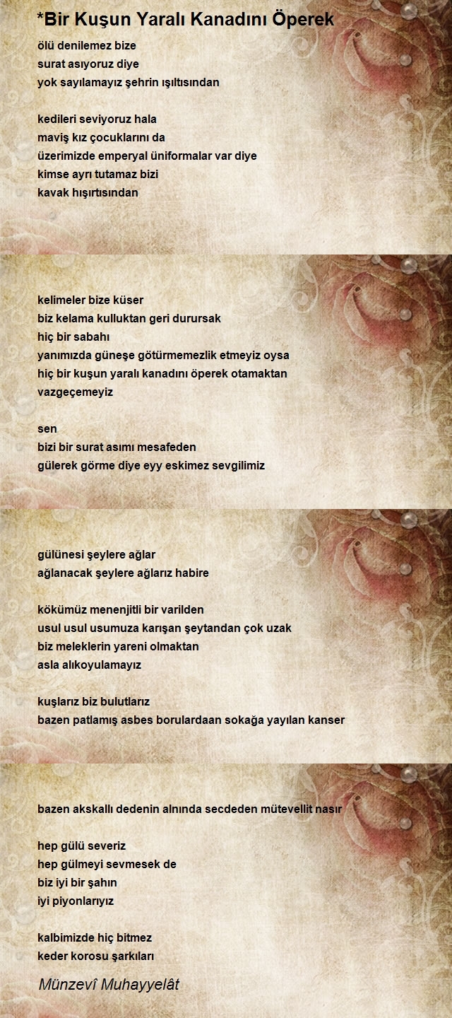 Münzevî Muhayyelât