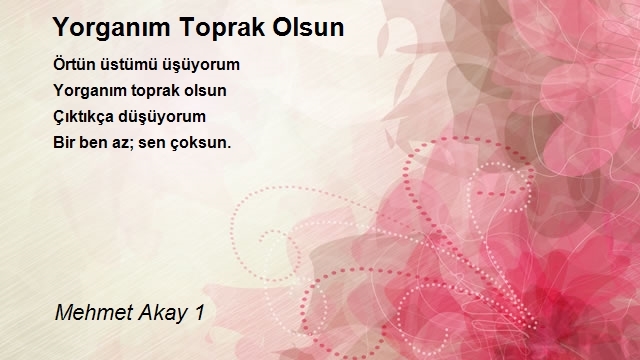 Mehmet Akay 1
