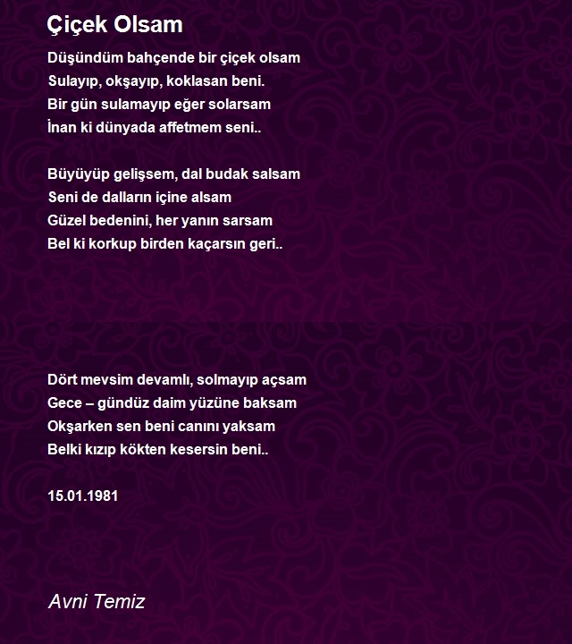 Avni Temiz