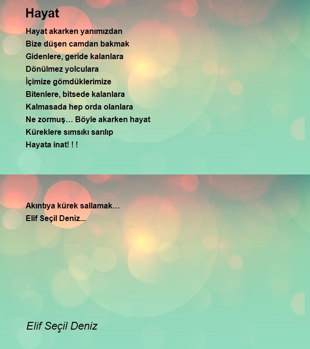 Elif Seçil Deniz