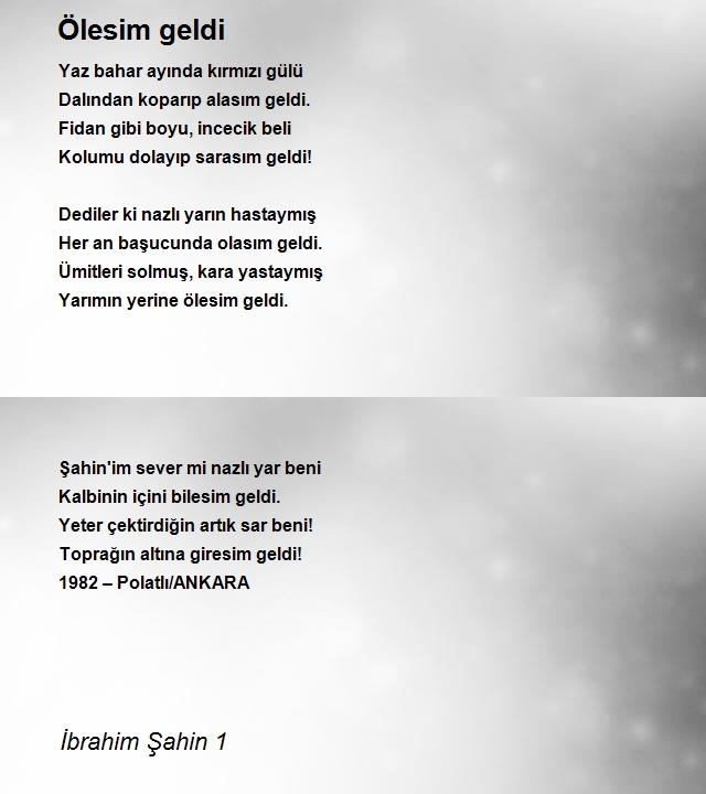 İbrahim Şahin 1