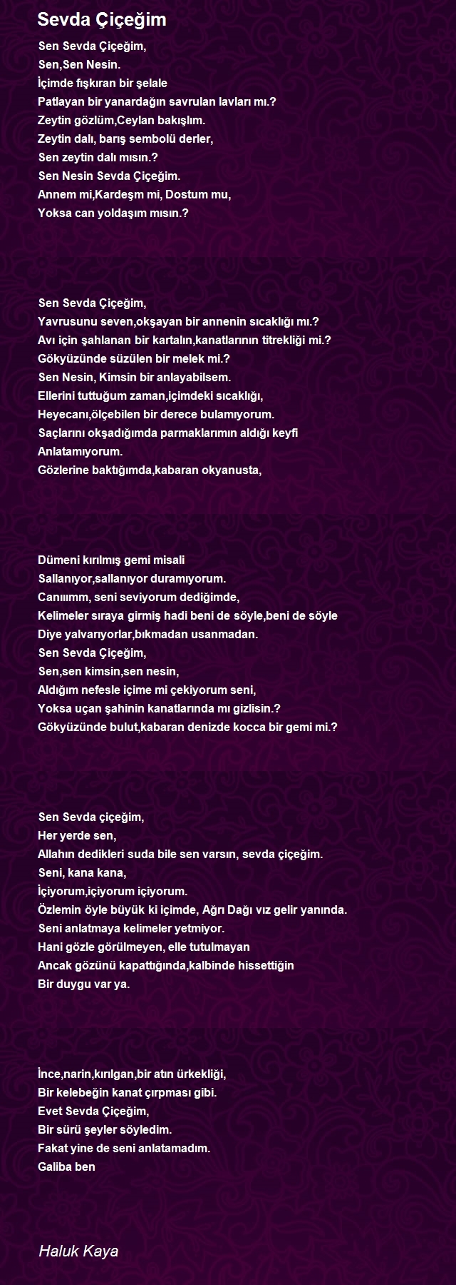 Haluk Kaya