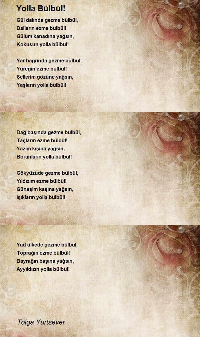 Tolga Yurtsever