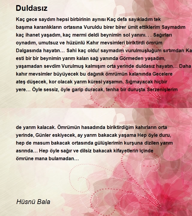 Hüsnü Bala