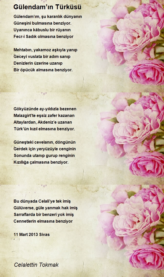 Celalettin Tokmak