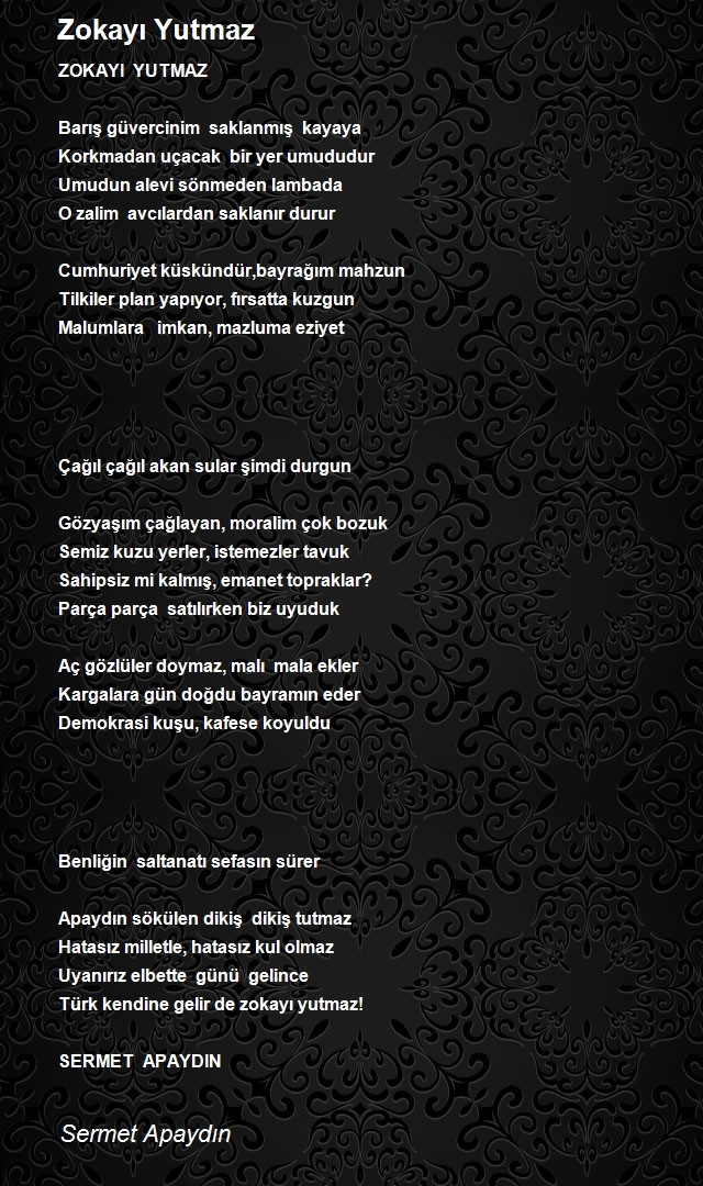 Sermet Apaydın