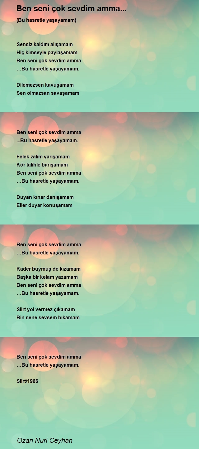 Ozan Nuri Ceyhan
